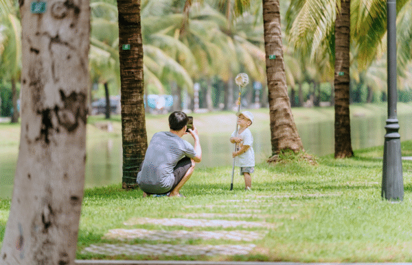 Bán Nhà Phố Liền Kề Giá Tốt Phân Khu The Forest, Vinhomes Green City - Ảnh 3