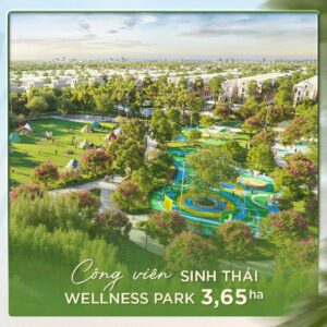 Chính thức khai trương