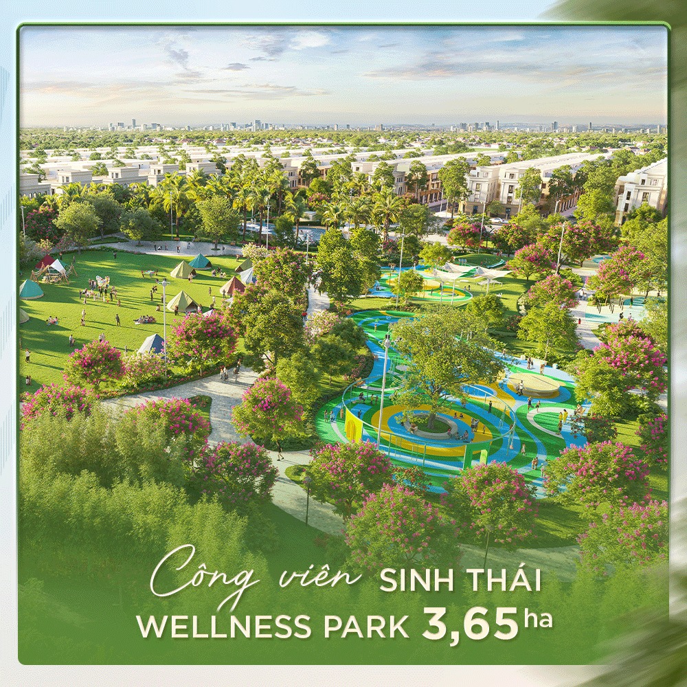 Chính thức khai trương
