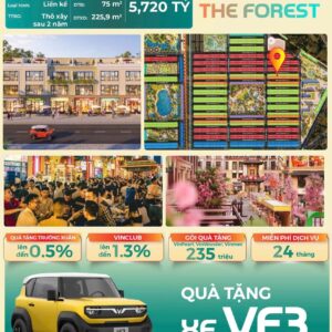 Sở hữu nhà Vinhomes Hậu Nghĩa kèm quà tặng xe điện VF3