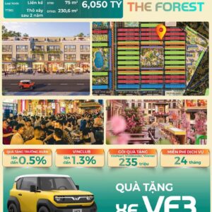 Bán căn liền kề tại The Forest và ưu đãi đặc biệt tặng kèm xe VF3